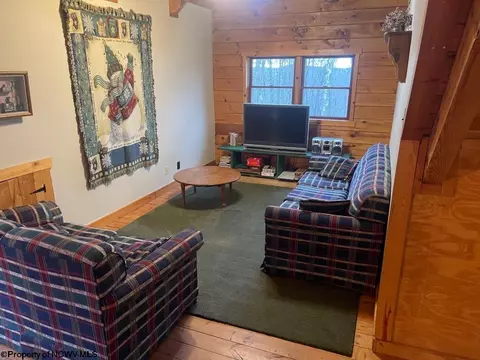 Other - 2014 Cabin Mountain Rd, Davis, WV 26260 photo 3 of 4