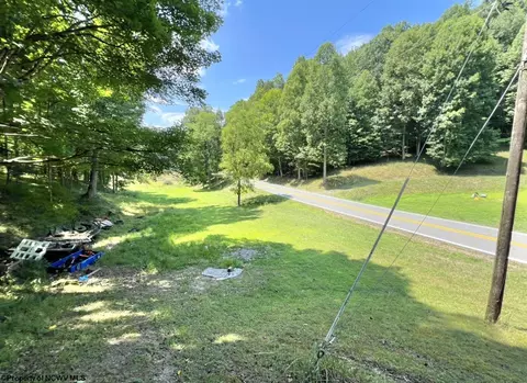 1186 Walker Fork Rd, Copen, WV 26615 photo 32