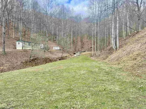 1186 Walker Fork Rd, Copen, WV 26615 photo 31