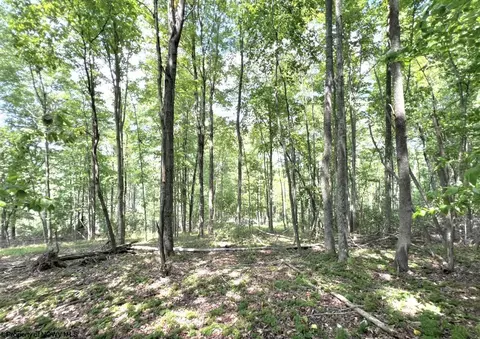 1186 Walker Fork Rd, Copen, WV 26615 photo 44