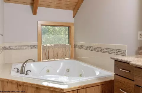 Bath - 120 Tree Top Ln, Davis, WV 26260 photo 1 of 3