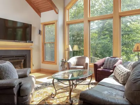 Living - 120 Tree Top Ln, Davis, WV 26260 photo 1 of 1