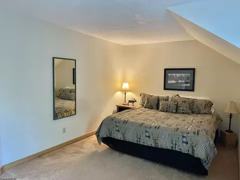 Bedroom - C2 Cedar Place, Davis, WV 26260 photo 2 of 5