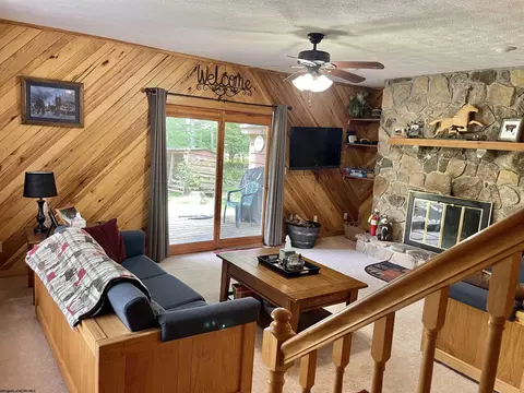 Living - C2 Cedar Place, Davis, WV 26260 photo 1 of 3