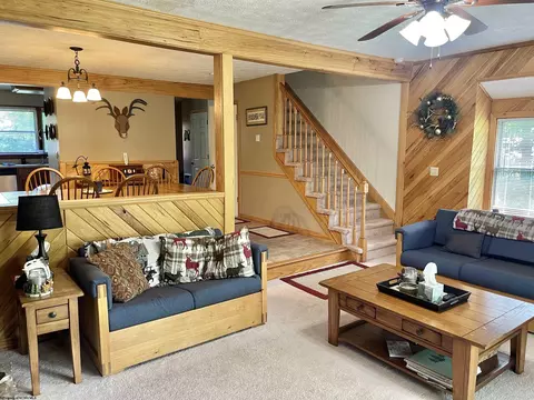 Living - C2 Cedar Place, Davis, WV 26260 photo 2 of 3