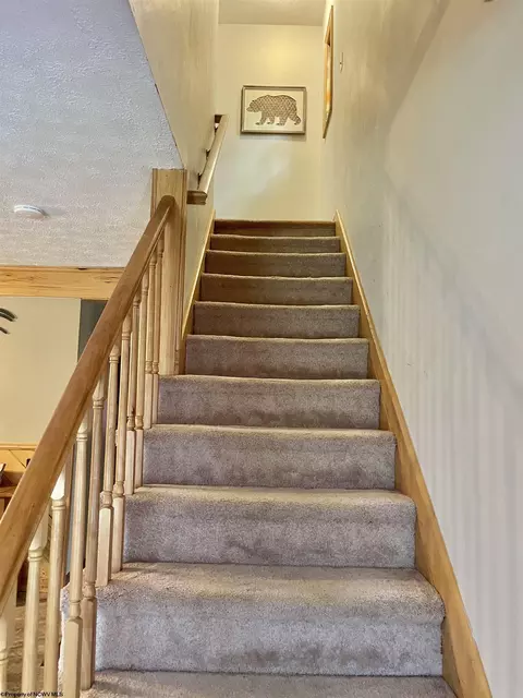 Entry Way - C2 Cedar Place, Davis, WV 26260 photo 1 of 2