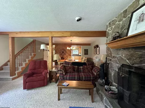 Living - E2 Cedar Place Drive #E2, Davis, WV 26260 photo 3 of 3
