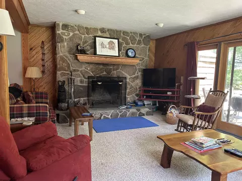 Living - E2 Cedar Place Drive #E2, Davis, WV 26260 photo 1 of 3