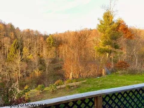 608 Douglas Rd, Thomas, WV 26292 photo 32