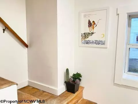 608 Douglas Rd, Thomas, WV 26292 photo 8