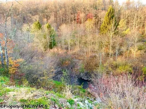 608 Douglas Rd, Thomas, WV 26292 photo 31