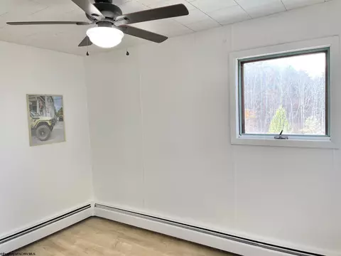 608 Douglas Rd, Thomas, WV 26292 photo 24