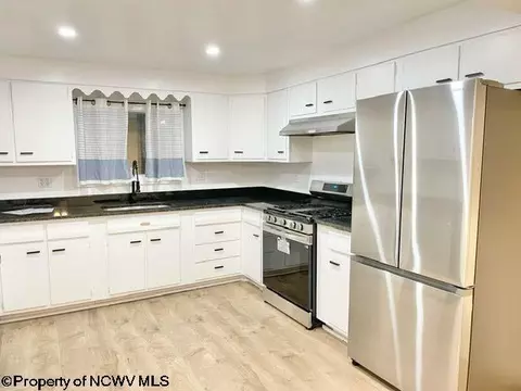 608 Douglas Rd, Thomas, WV 26292 photo 5