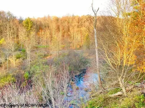 608 Douglas Rd, Thomas, WV 26292 photo 29
