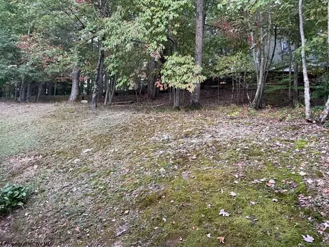 Exterior - 30 Rebas Rd, Beverly, WV 26253 photo 6 of 7