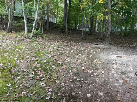Exterior - 30 Rebas Rd, Beverly, WV 26253 photo 5 of 7