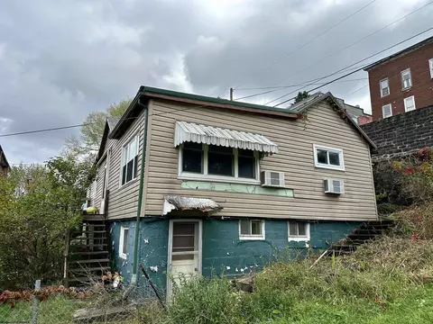 Exterior - 165 Ash Aly, Thomas, WV 26292 photo 3 of 6