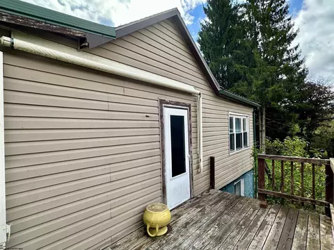 Exterior - 165 Ash Aly, Thomas, WV 26292 photo 2 of 6