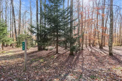 385 Maple Ave, Davis, WV 26260 photo 30