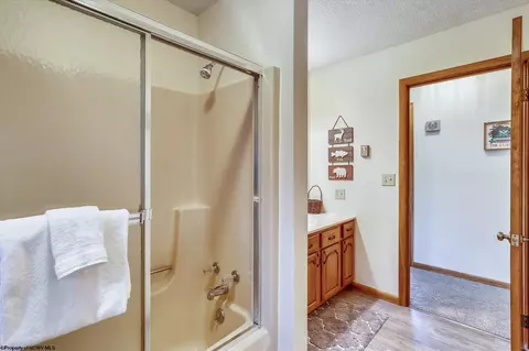385 Maple Ave, Davis, WV 26260 photo 20