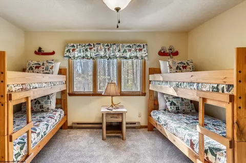 385 Maple Ave, Davis, WV 26260 photo 13