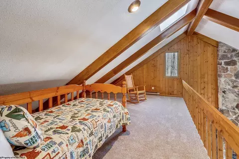 385 Maple Ave, Davis, WV 26260 photo 17