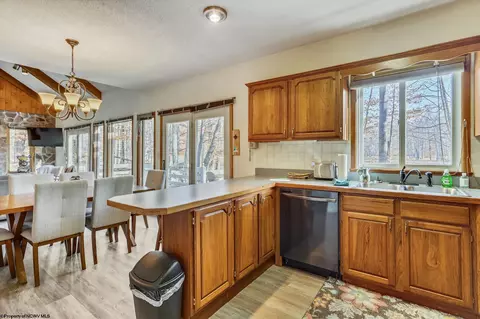 385 Maple Ave, Davis, WV 26260 photo 9