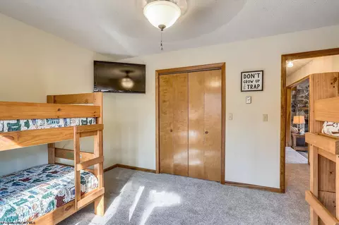 385 Maple Ave, Davis, WV 26260 photo 14