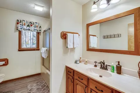 385 Maple Ave, Davis, WV 26260 photo 19
