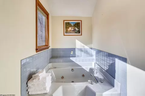 385 Maple Ave, Davis, WV 26260 photo 18