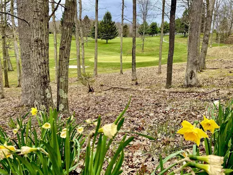 Other - 199 Aster Cir, Terra Alta, WV 26764 photo 8 of 10
