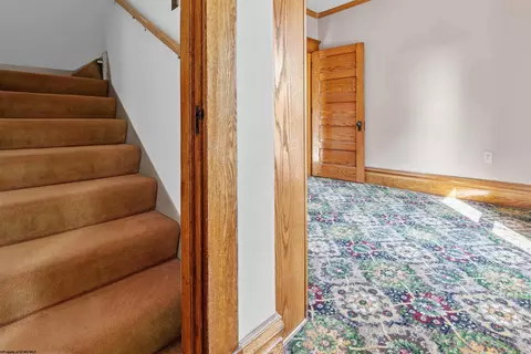 236 Park St, Morgantown, WV 26501 photo 32