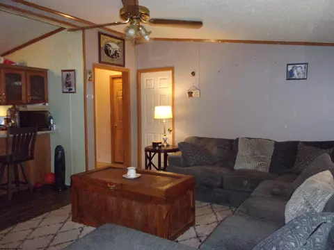 Living - 99 Randolph St, Salem, WV 26426 photo 2 of 2