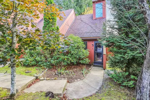 95 Pendletonheim Cir, Davis, WV 26260