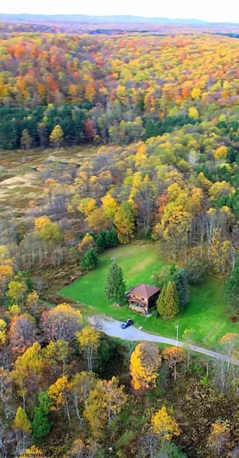 308 Snyder Run Rd, Thomas, WV 26292