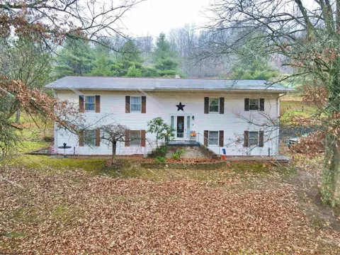553 Pogue Run Rd, Burton, WV 26562