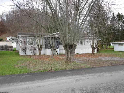 61 Viquesney Ave, Elkins, WV 26241