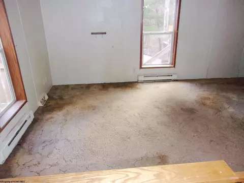 116 N Beech Run Rd, Albright, WV 26519 photo 3