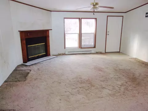 116 N Beech Run Rd, Albright, WV 26519 photo 5