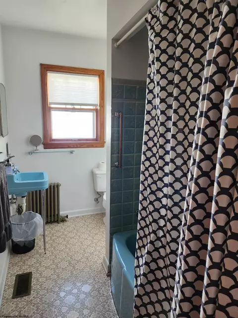Bath - 94 Brown St, Thomas, WV 26292 photo 3 of 6