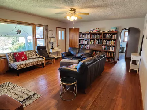 Living - 94 Brown St, Thomas, WV 26292 photo 1 of 4