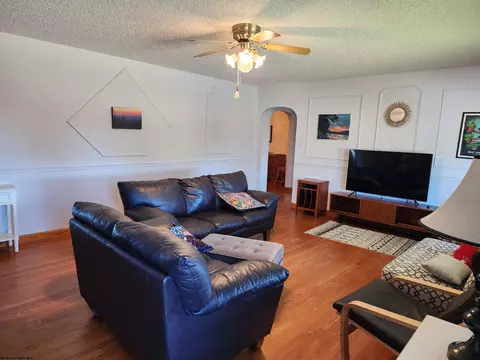 Living - 94 Brown St, Thomas, WV 26292 photo 4 of 4