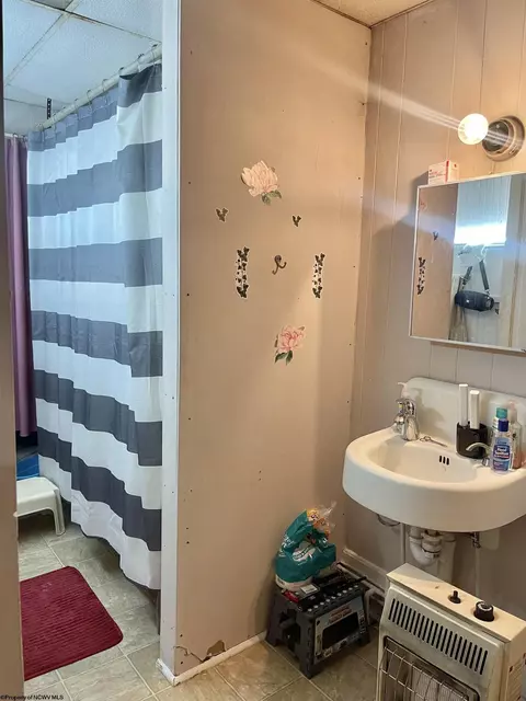 Bath - 230 Thomas Ave, Davis, WV 26260 photo 1 of 1