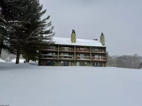 16-124 Grizzly Way, Davis, WV 26260