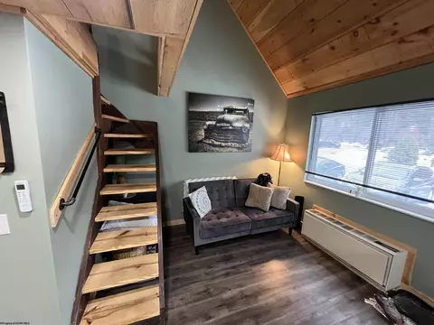 30 Pendletonheim Cir, Davis, WV 26260 photo 8