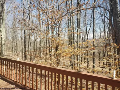 77 Red Squirrel Run #BLACK BEAR RESORT / 52, Davis, WV 26260 photo 27