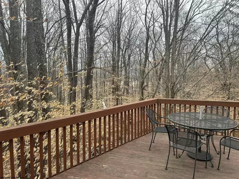 77 Red Squirrel Run #BLACK BEAR RESORT / 52, Davis, WV 26260 photo 38