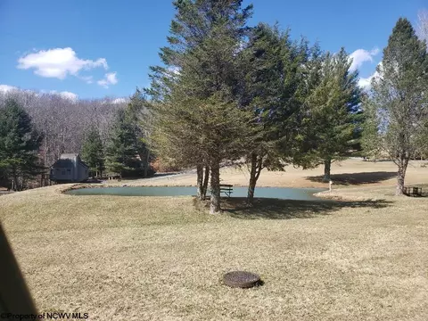 77 Red Squirrel Run #BLACK BEAR RESORT / 52, Davis, WV 26260 photo 33