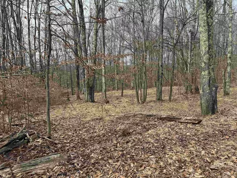 Exterior - 231 Mountainside Rd, Davis, WV 26260 photo 3 of 3