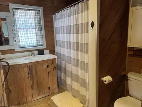 Bath - 231 Mountainside Rd, Davis, WV 26260 photo 2 of 3